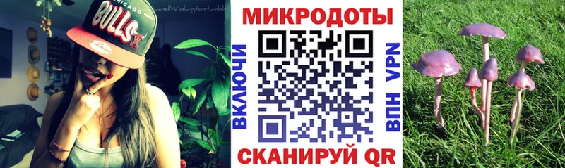 купить наркотики цена  Удомля  Галлюциногенные грибы GOLDEN TEACHER 