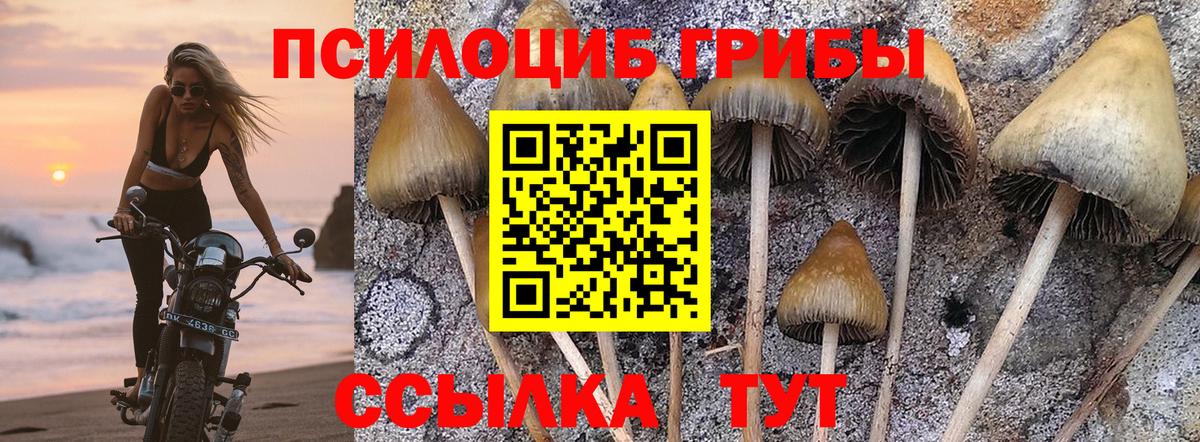Галлюциногенные грибы мицелий  Вход с VPN  Удомля 